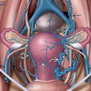 Changing vascular wall structure